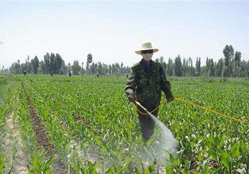 Be alert to the sudden shortage of some pesticides caused by the severe flooding in China